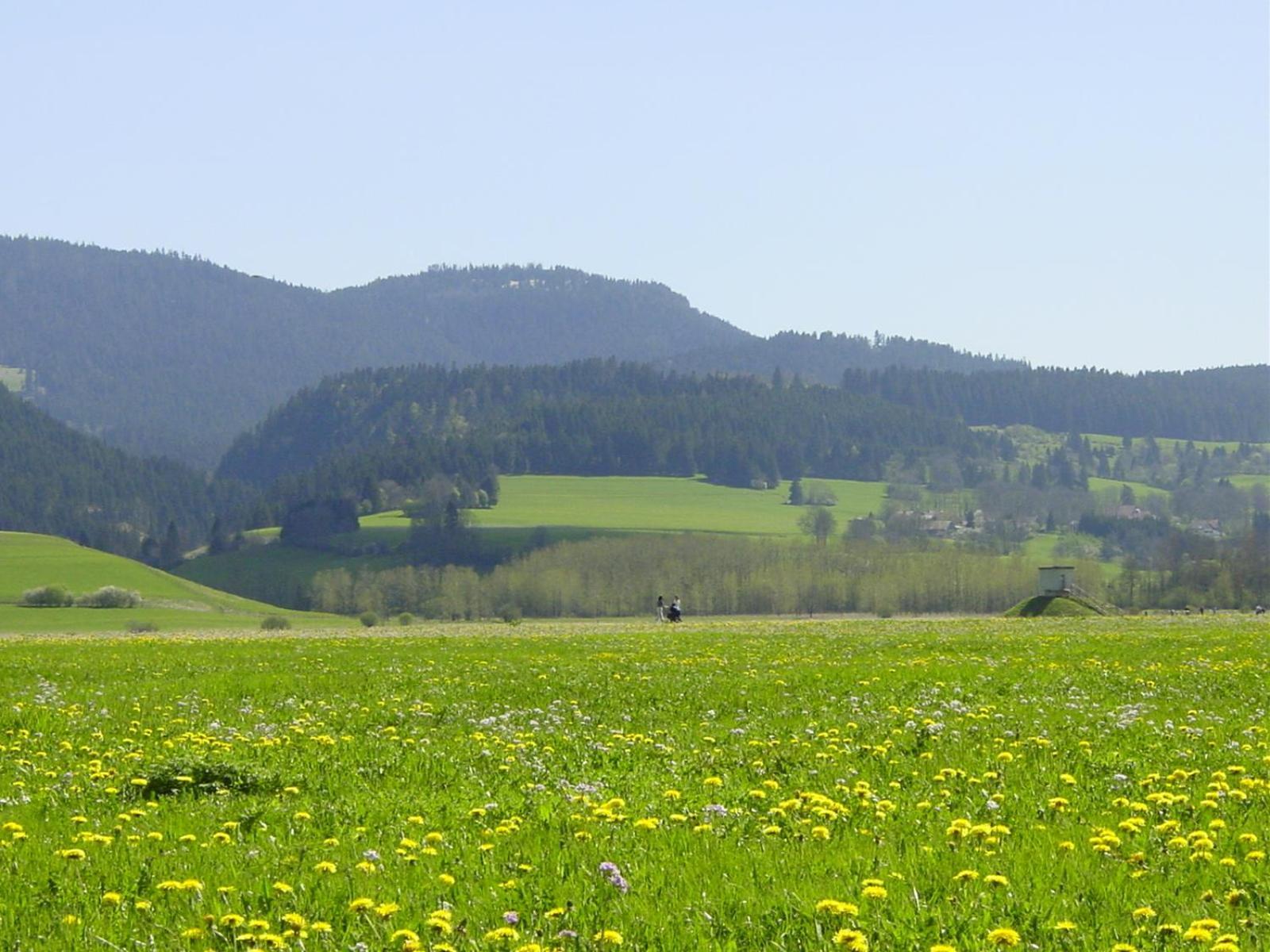 Espace Morteau Buitenkant foto